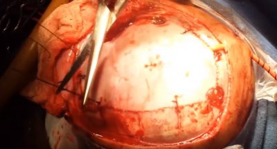 Новый клип American Head Charge