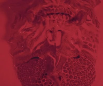 Новый клип The Devil Wears Prada